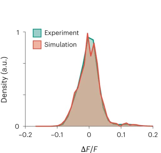 Open access visualization of Line Plot, Density Plot, Delta F/F Distributions, Recordings, NAOMi1p