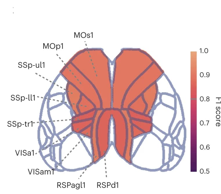 Open access visualization of Heatmap, Spatial Distribution, Neuron Detection, F-Score, DeepWonder