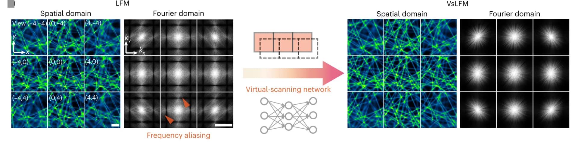 Open access visualization of Microscopy, Network, Pathway, VsLFM, Deep Neural Network