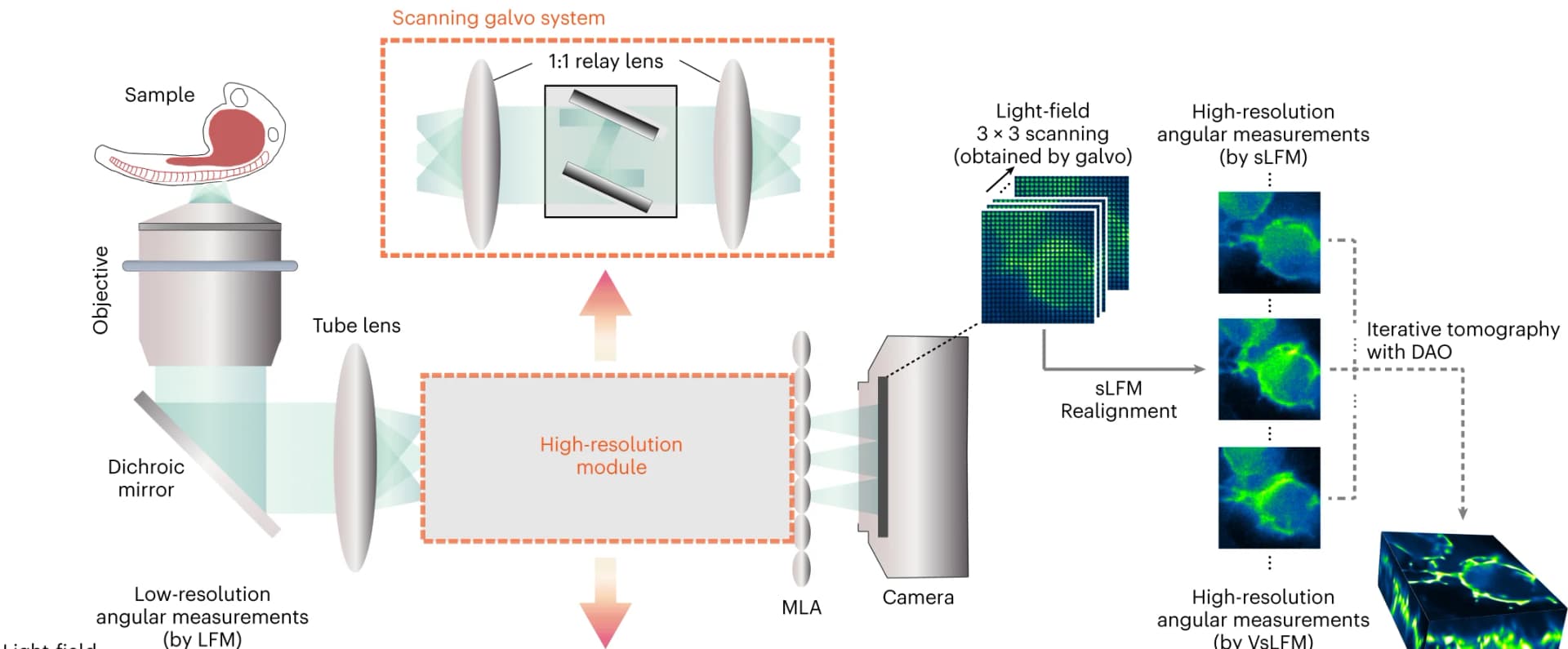 Open access visualization of Workflow, Illustration, VsLFM, Optical System, Processing Pipeline