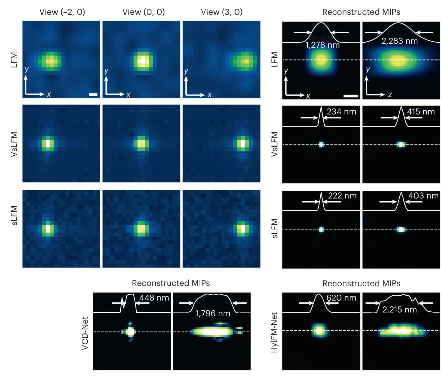 Open access visualization of Microscopy, Spatial-Angular Views, MIP, Fluorescent Bead, LFM