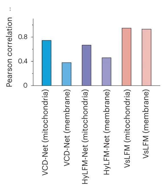 Open access visualization of Bar Plot, Bar Chart, Pearson Correlations, Mitochondria, sLFM