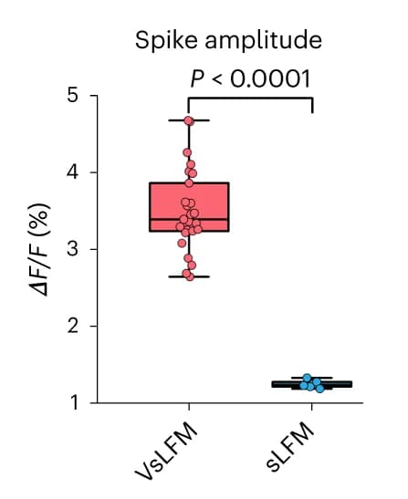 Open access visualization of Box Plot, Scatter Plot, Amplitudes, Voltage Sensitive Light Field Microscopy, sparse Light Field Microscopy