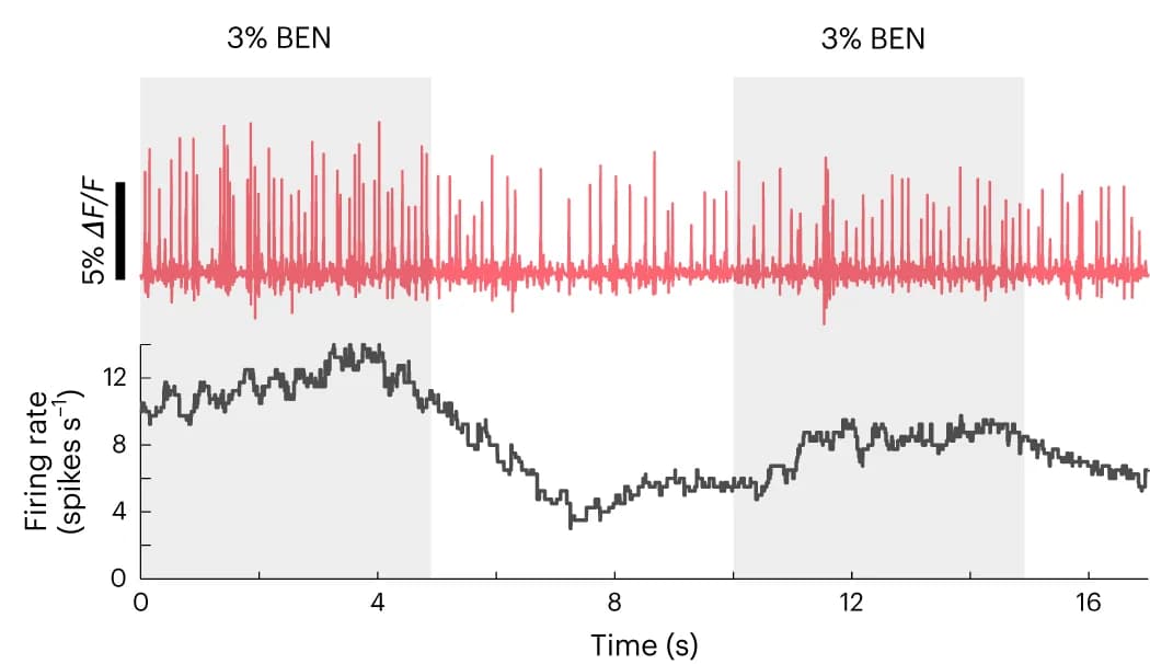 Open access visualization of Line Plot, Line Step, Odor-Evoked Voltage Traces, Firing Rates, Benzaldehyde Stimulus