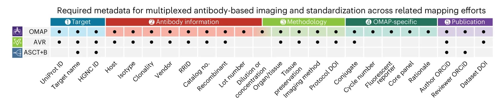 Open access visualization of Table Image, Metadata, HuBMAP, OMAP, AVR