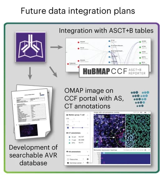 Open access visualization of Workflow, Network, Heatmap, Microscopy, Illustration