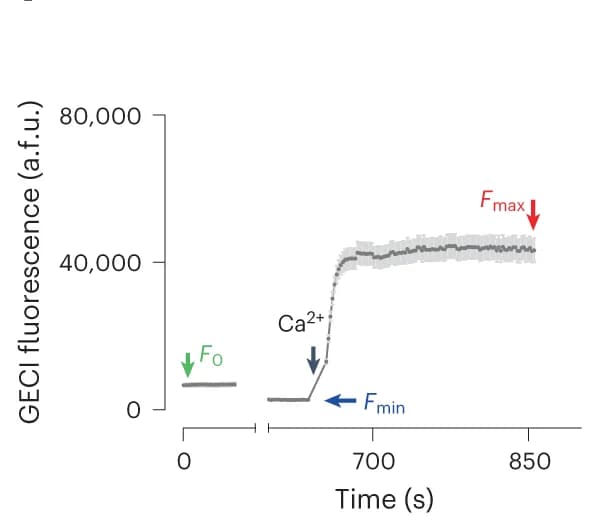 Open access visualization of Line Plot, Error Bars, GCaMP, NCaMP7, HEK293 Cells