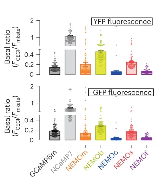 Open access visualization of Bar Plot, Scatter Plot, Error Bars, Basal Brightness, NEMO