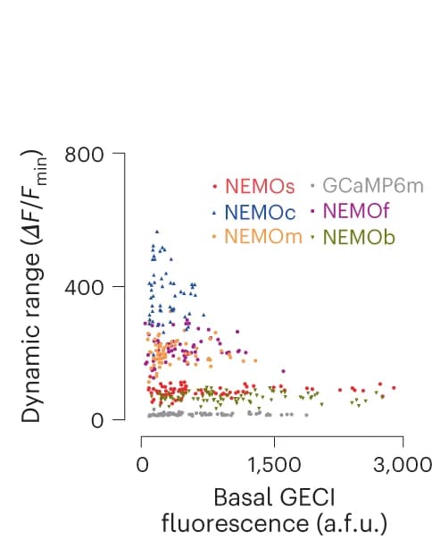 Open access visualization of Scatter Plot, Dynamic Range, NEMO Variants, GCaMP6m, YFP Filter