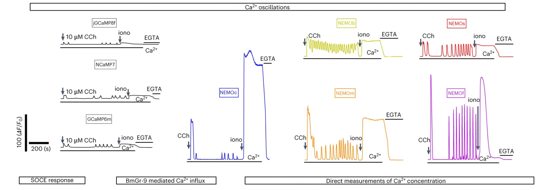 Open access visualization of Line Plot, Ca2+ oscillations, HEK293 cells, CCh, GCaMP6m