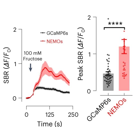 Open access visualization of Line Plot, Error Bars, Bar Plot, Fructose-elicited response, BmGr-9
