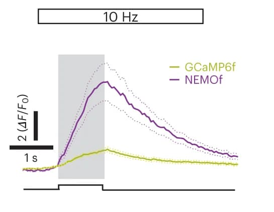 Open access visualization of Line Plot, Error Bars, NEMOf, GCaMP6f, transients