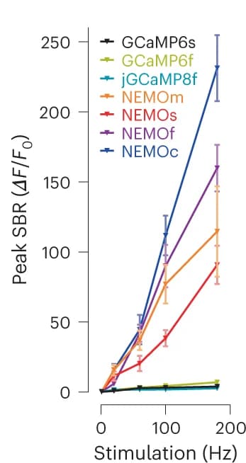 Open access visualization of Line Plot, Error Bars, GECI measurement, dendrites, hippocampal neuron cultures