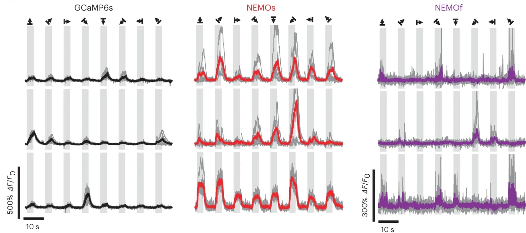 Open access visualization of Line Plot, GCaMP6s, NEMOs, NEMOf, Response curves
