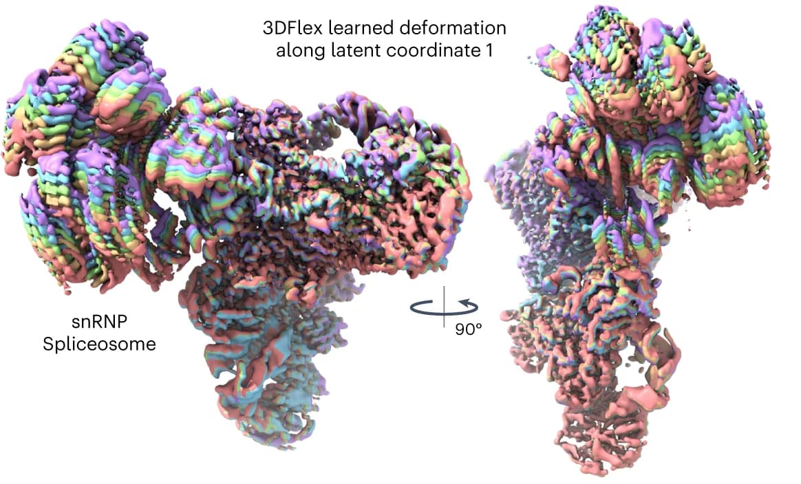 Open access visualization of Protein Structure, Convected Densities, 3DFlex, Latent Dimension, Structural Dynamics