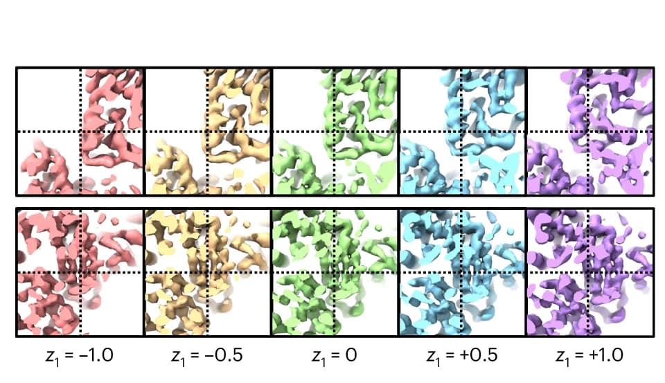 Open access visualization of Protein Structure, Alpha-Helix, Beta-Sheet, Structural Dynamics, 3DFlex