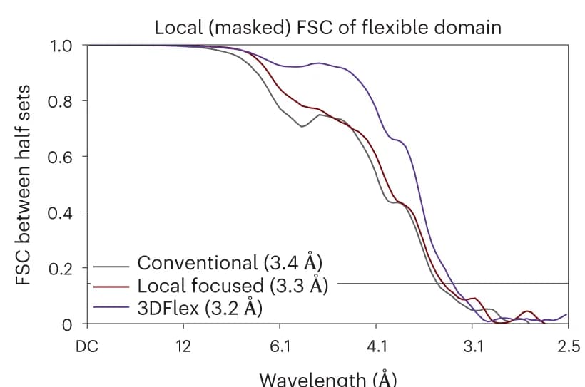 Open access visualization of Line Plot, FSC, Flexible peripheral domain, Local rigid refinement