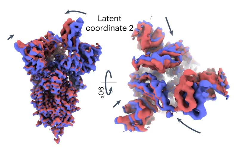 Open access visualization of Protein Structure, Densities, 3DFlex, Latent Space