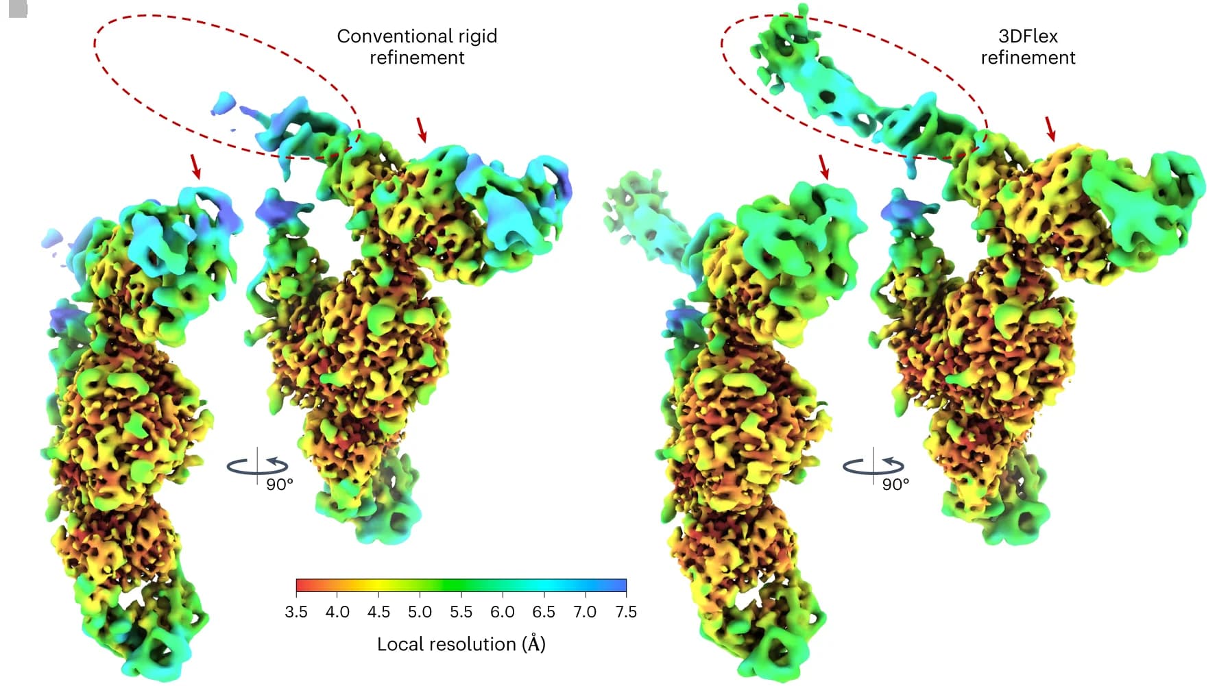 Open access visualization of Protein Structure, Density Map, Nonuniform Refinement, 3DFlex, Local Resolution
