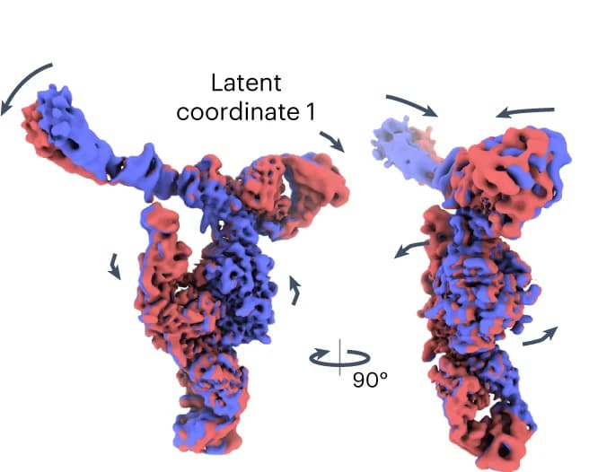 Open access visualization of Protein Structure, 3DFlex, Density, Latent Space