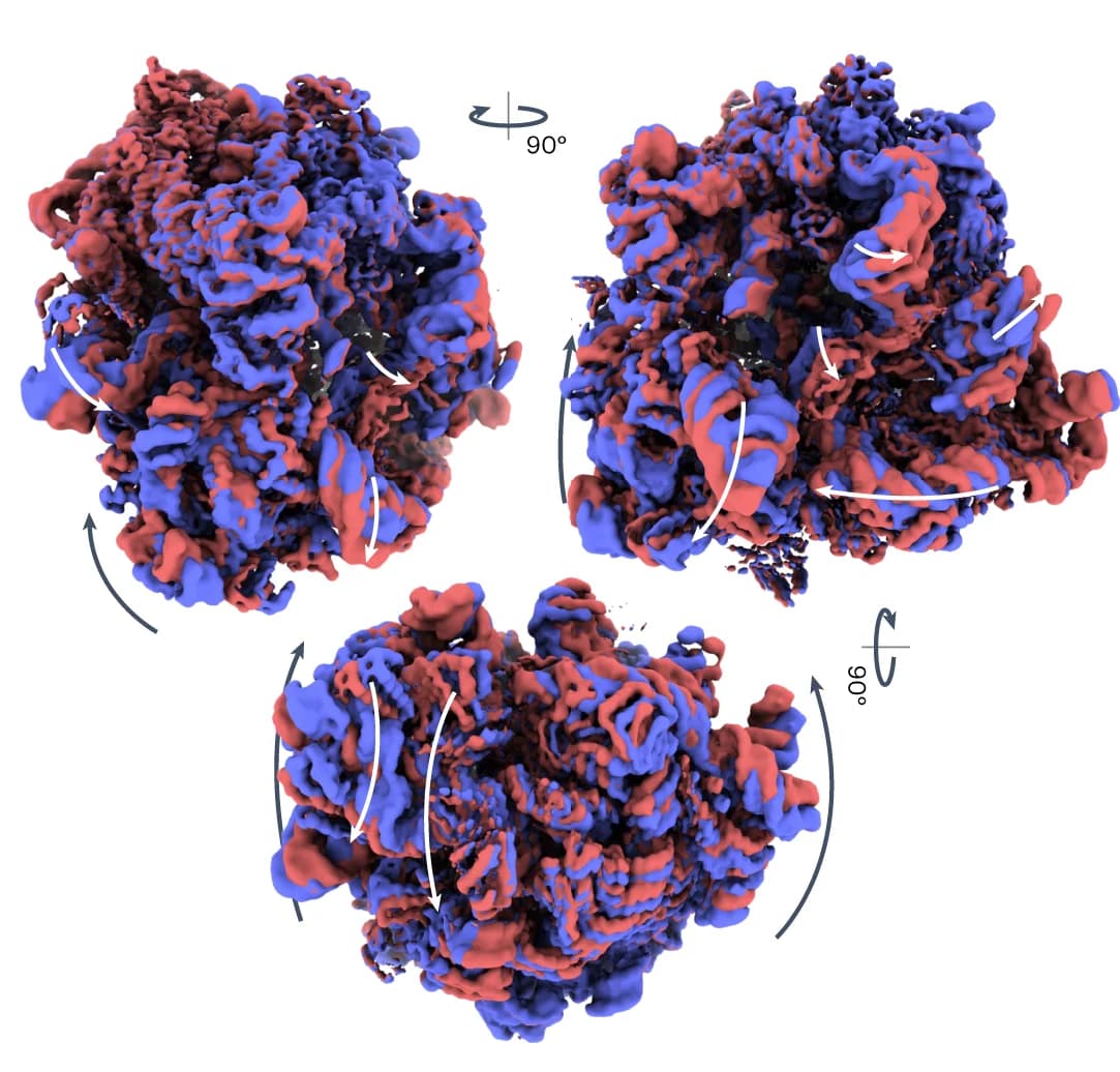 Open access visualization of 3D Plot, Protein Structure, Densities, 3DFlex, Views