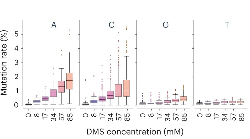 Open access visualization of Box Plot, Scatter Plot, Nucleotide, Error Rates, DMS Concentrations