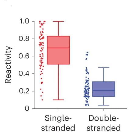 Open access visualization of Box Plot, Scatter Plot, Boxplot Analysis, DMS Reactivities, Nucleotides