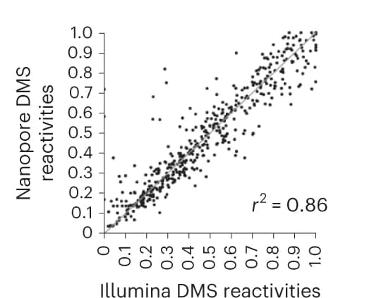 Open access visualization of Scatter Plot, Regression Plot, Nanopore, Illumina, DMS Reactivities