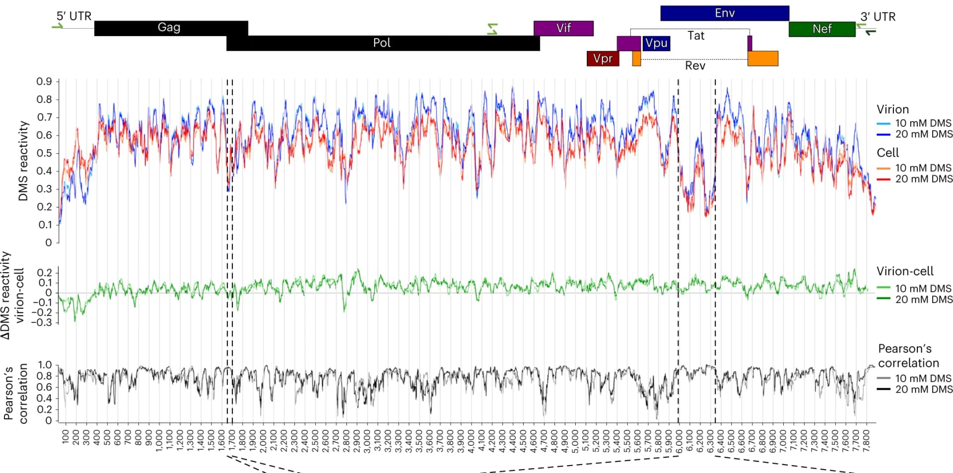 Open access visualization of Line Plot, DMS reactivity, HIV-1, Virion, Cell
