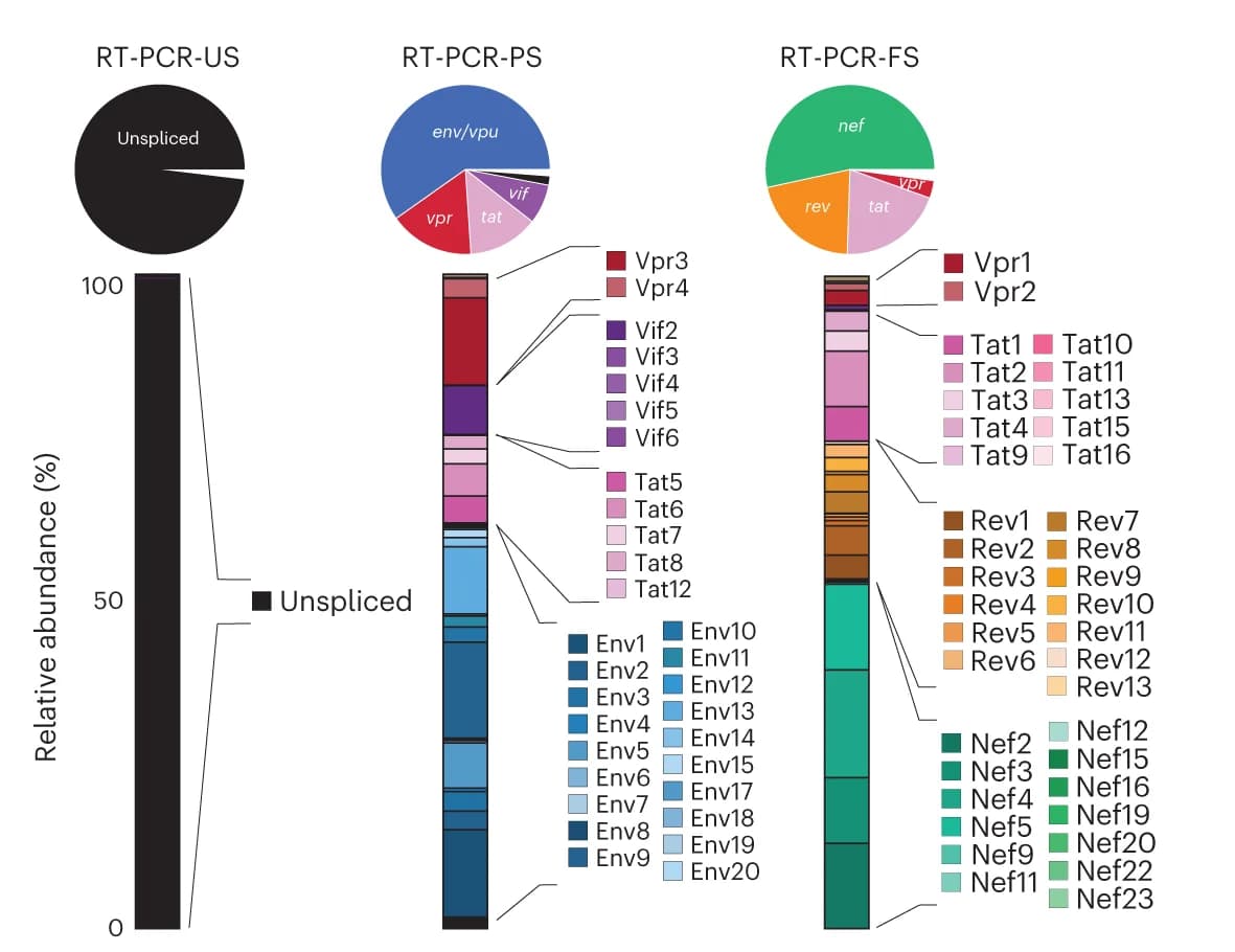 Open access visualization of Bar Plot, Pie Chart, Stacked Bar Plot, Transcript Isoforms, Viral Protein