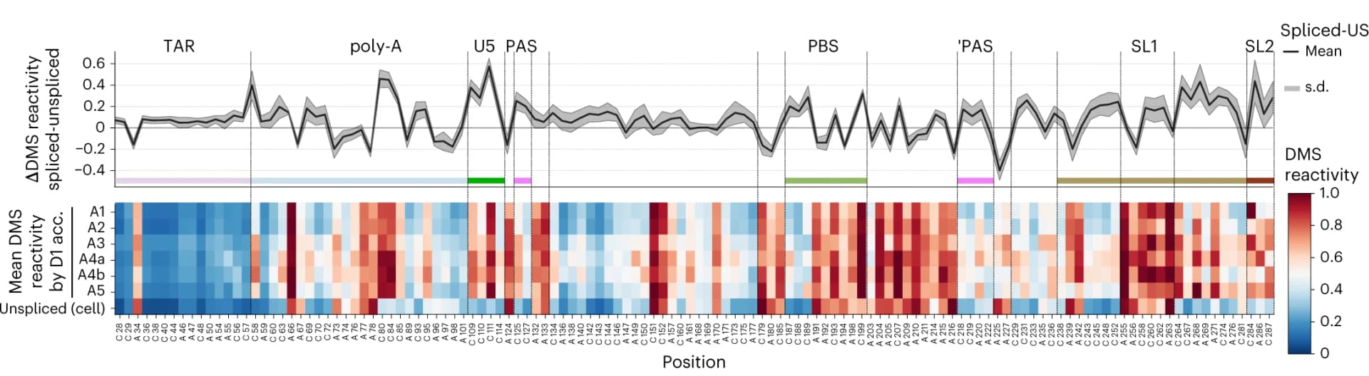 Open access visualization of Line Plot, Error Bars, Heatmap, DMS Reactivity, RNA