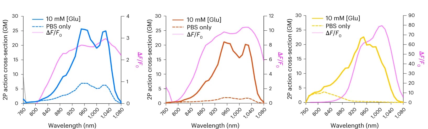 Open access visualization of Line Plot, 2P Excitation Spectra, iGluSnFR3, Glutamate