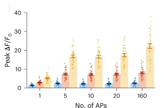 Open access visualization of Bar Plot, Error Bars, Scatter Plot, F / F 0, SF-Venus-iGluSnFR-A184V