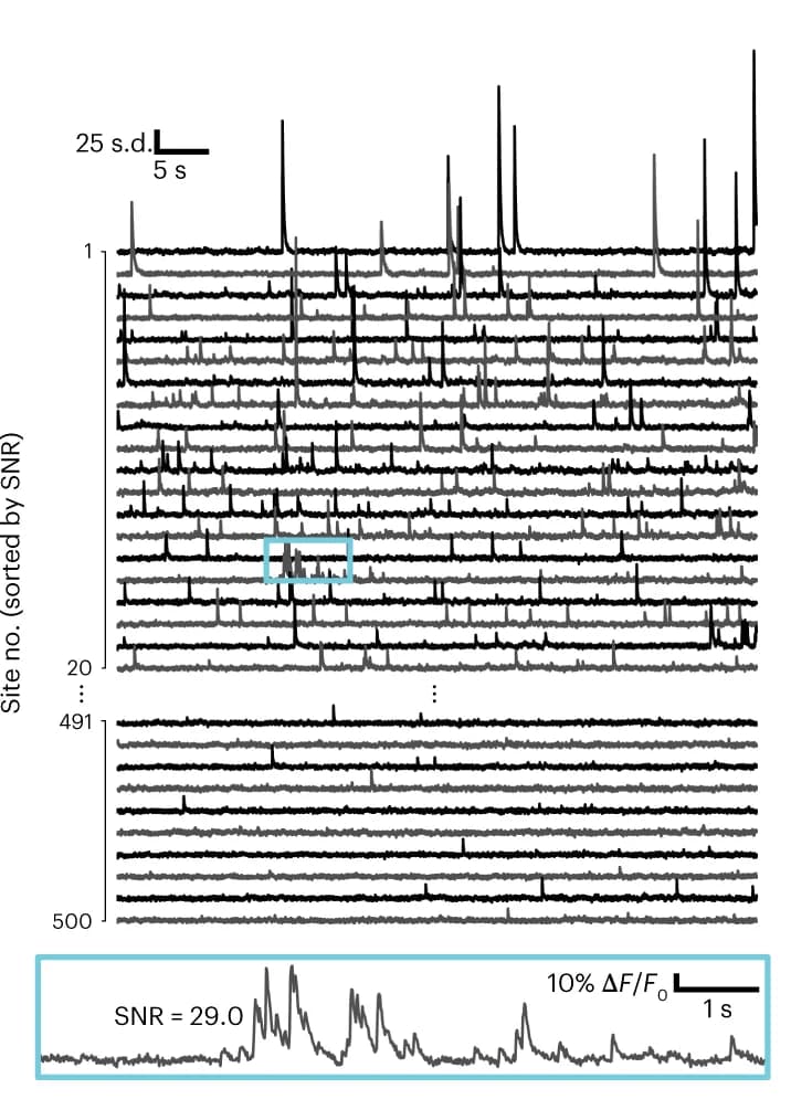 Open access visualization of Line Plot, Traces, Recordings, Signal-to-noise Ratio