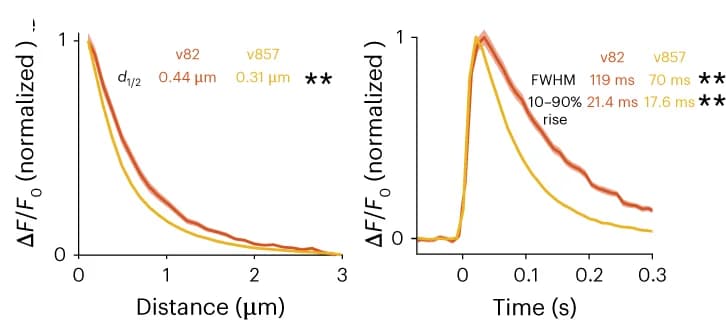 Open access visualization of Line Plot, Error Bars, Optical minis, Distance from peak, Time