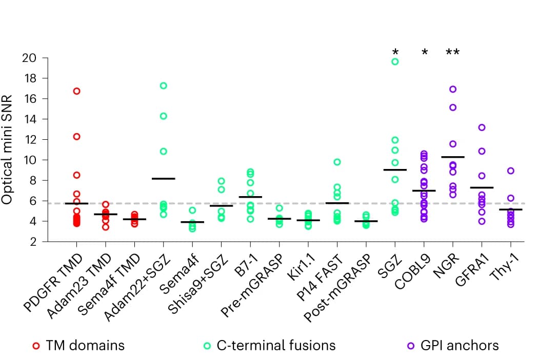 Open access visualization of Scatter Plot, Error Bars, SNR, Optical Minis, Cell Culture