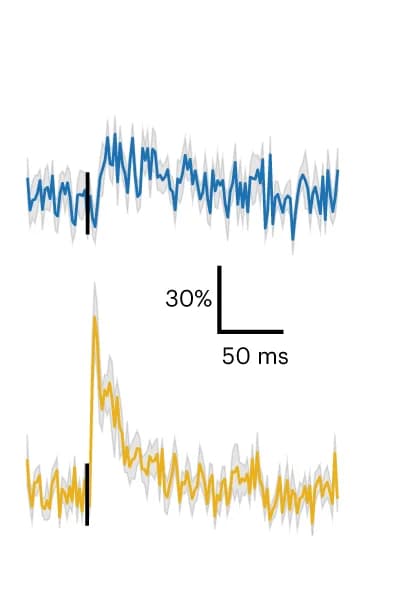 Open access visualization of Line Plot, Error Bars, Spike-triggered averages, Action potentials, v857