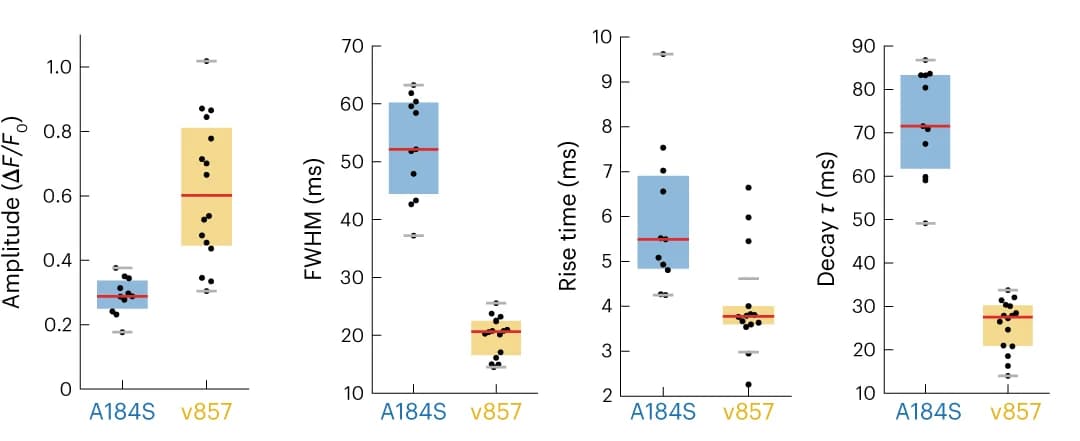 Open access visualization of Box Plot, Scatter Plot, Amplitude, FWHM, Rise Time