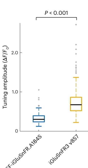Open access visualization of Box Plot, Response Amplitudes, v857, A184S, ROI