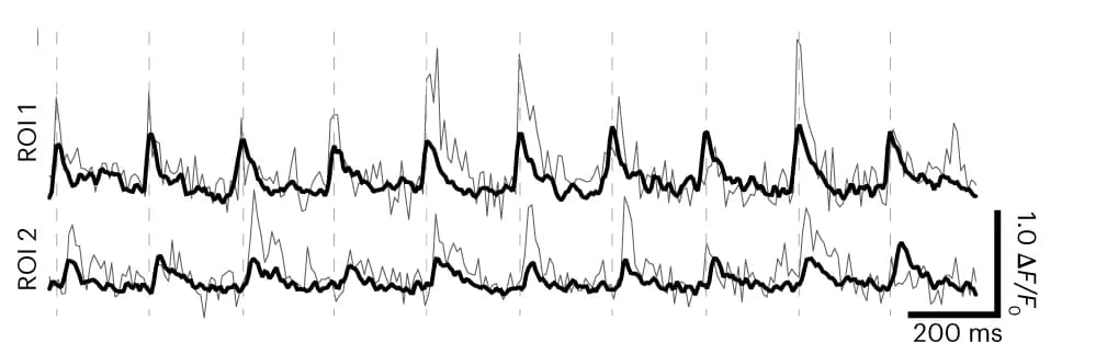 Open access visualization of Line Plot, Time Series, Spines, Representative Trial, Mean