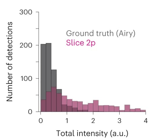 Open access visualization of Histogram, Total intensity, Voxel intensity, Segmented synapse, XTC Restored