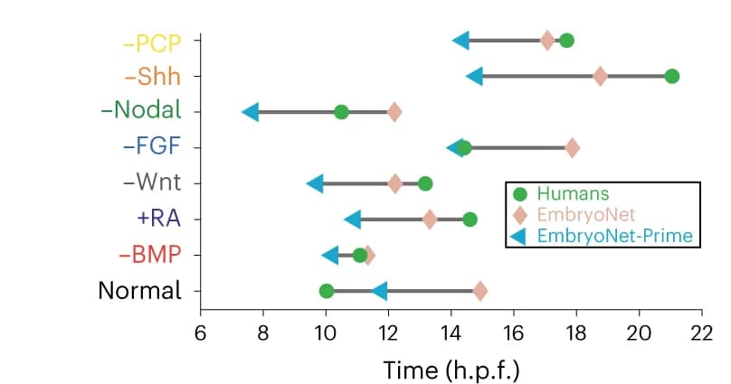 Open access visualization of Scatter Plot, Error Bars, Detection Times, Human Experts, EmbryoNet