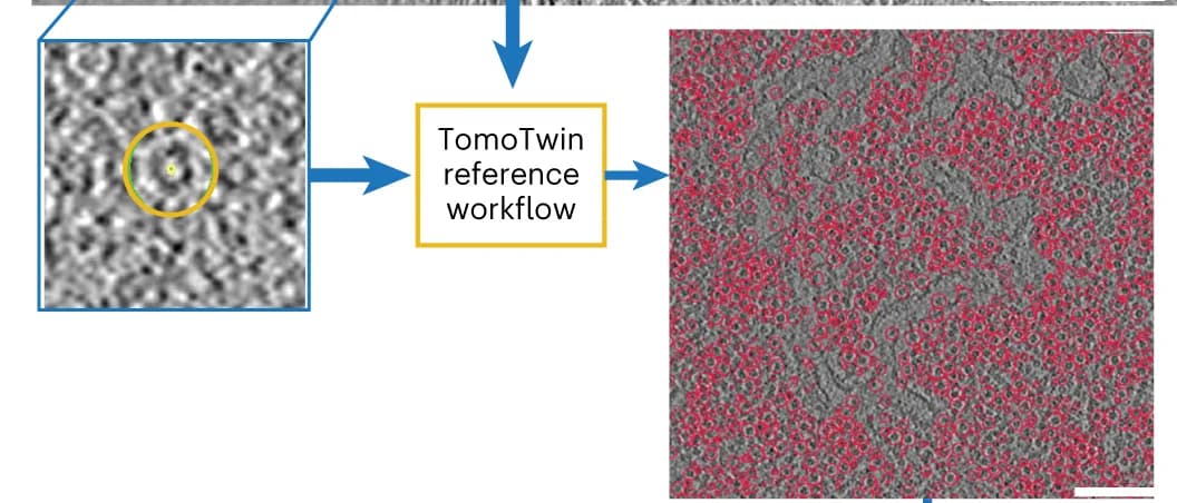 Open access visualization of Workflow, Microscopy, Picking, Processing, Pipeline