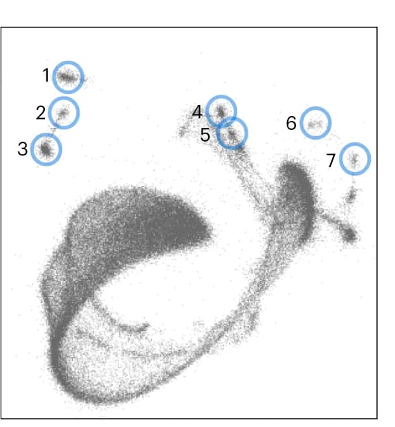 Open access visualization of Microscopy, Proteins, Tomogram, 2D Manifold Approximation