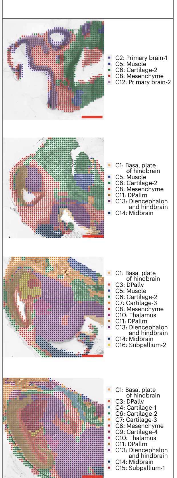 Open access visualization of Microscopy, Unsupervised Clustering, Mouse Brain Sections, Combined Modalities