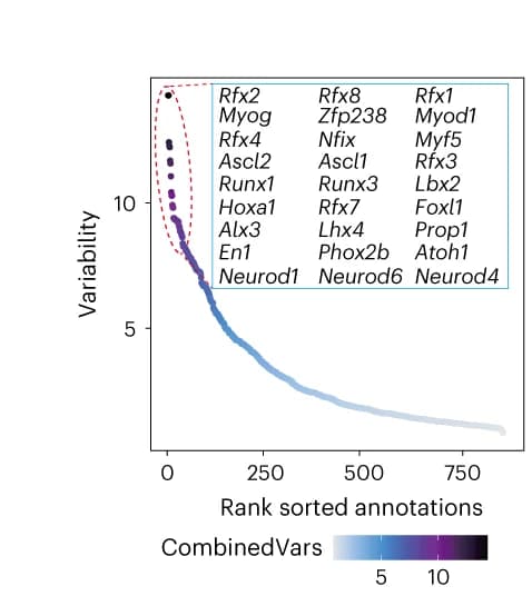 Open access visualization of Scatter Plot, Transcription Factors, Deviation Score, Ranking