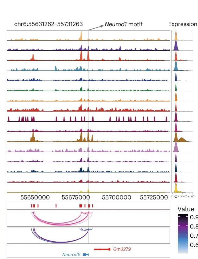 Open access visualization of Line Plot, Density Plot, Network, Genome Tracks, Chromatin Accessibility