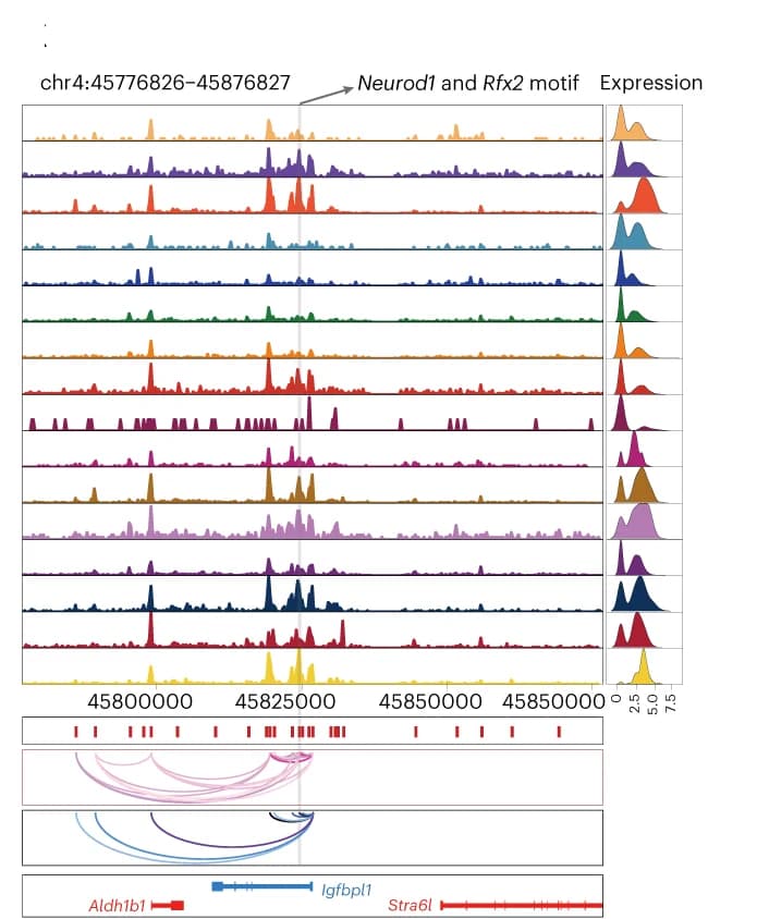 Open access visualization of Line Plot, Density Plot, Sankey, Genome Tracks, Chromatin Accessibility