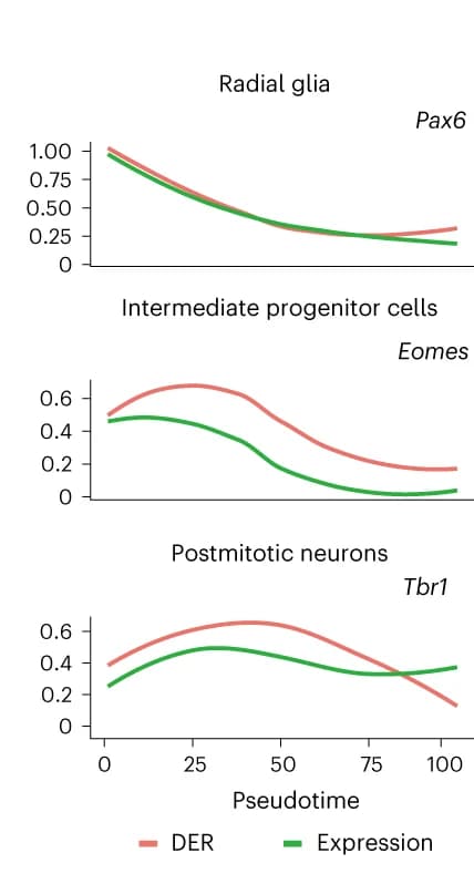 Open access visualization of Line Plot, DER Accessibility Score, Gene Expression, Pax6, Eomes
