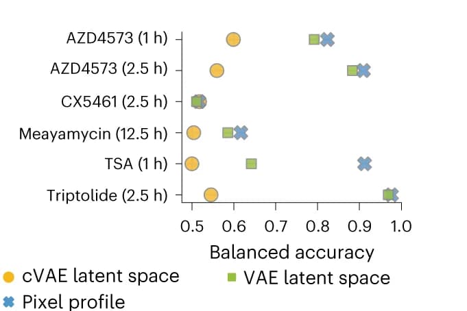 Open access visualization of Scatter Plot, Nuclear Mean Intensity, Perturbations, Unperturbed Cells, Proteins